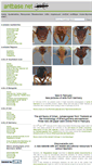 Mobile Screenshot of antbase.net