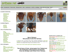 Tablet Screenshot of antbase.net